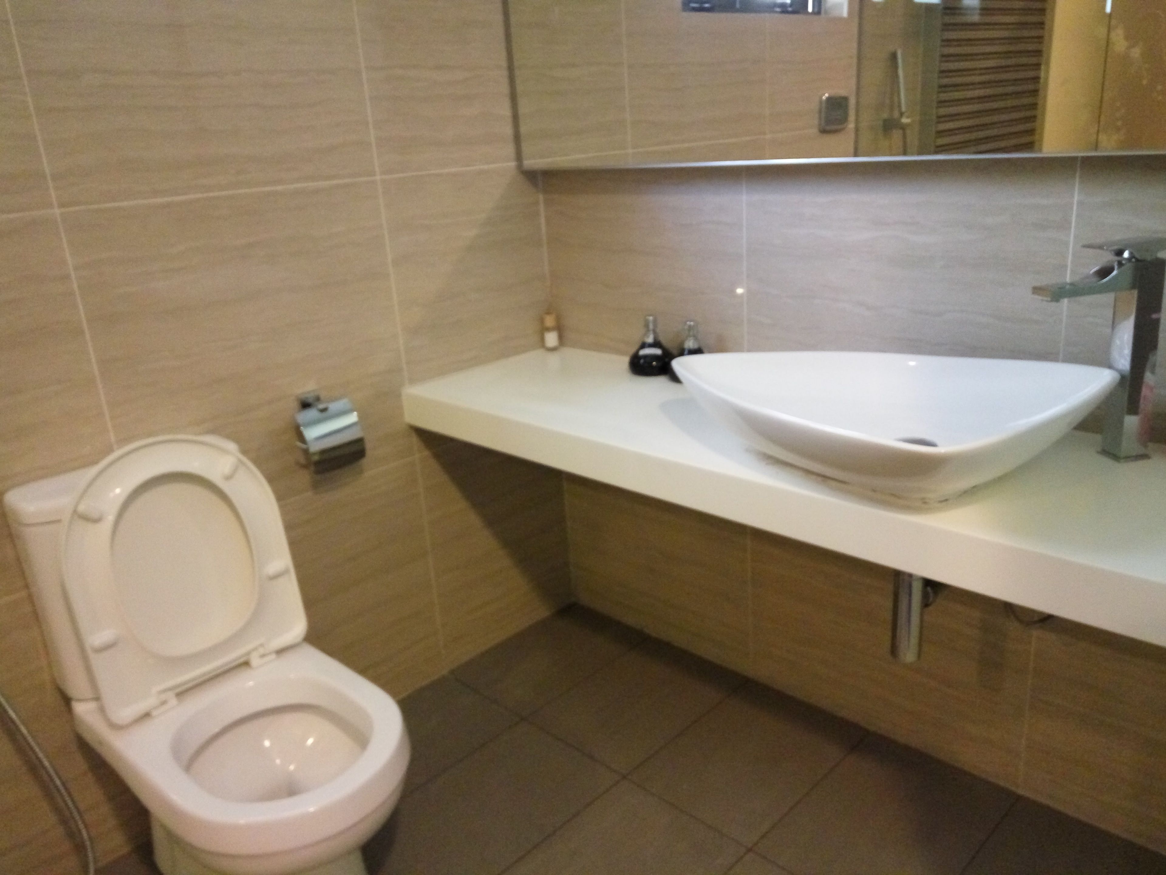 apartment | bathroom | shower, rainfall showerhead, free toiletries, bidet