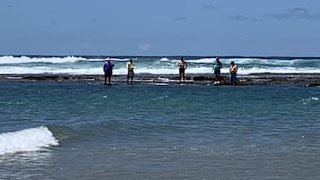 Pesca