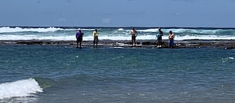 Flamingo Lodge