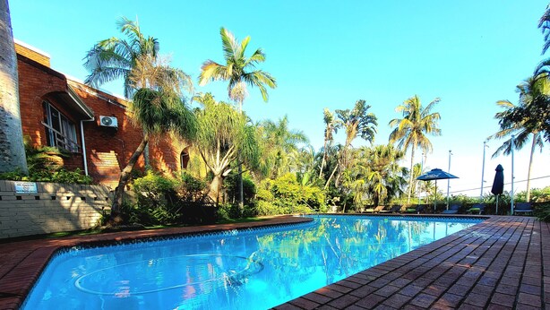 A swimming pool with a brick border, surrounded by palm trees and greenery.