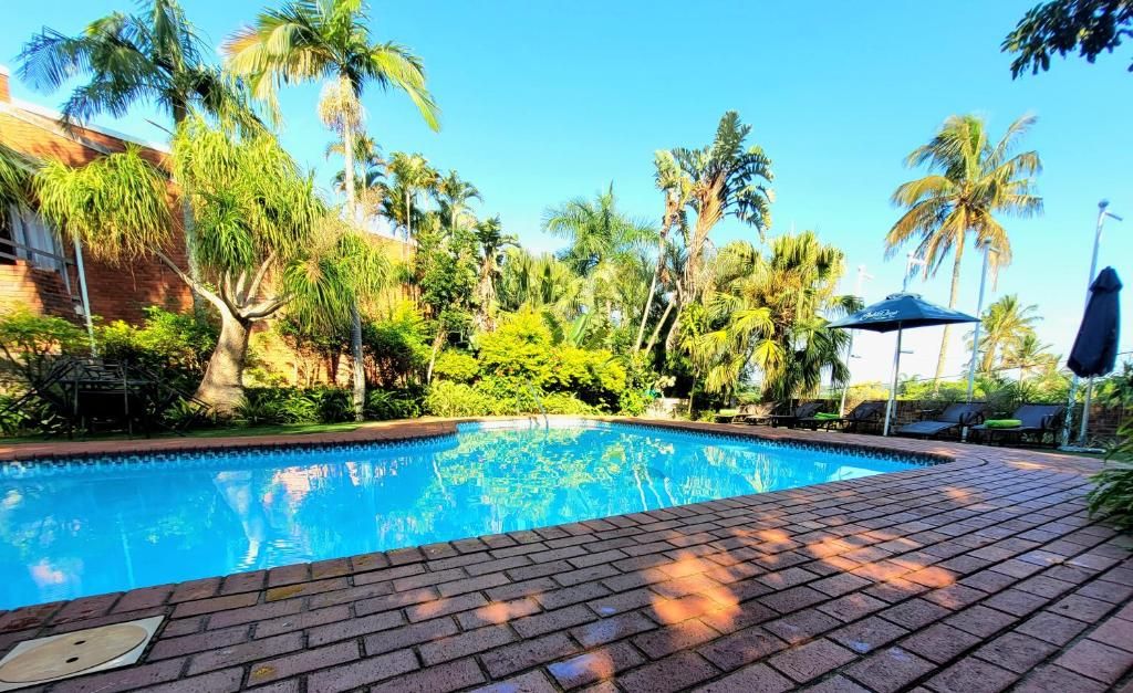 Una piscina con solárium de ladrillo, rodeada de palmeras y vegetación.