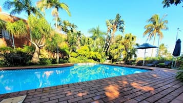 A swimming pool with a brick deck, surrounded by palm trees and greenery.