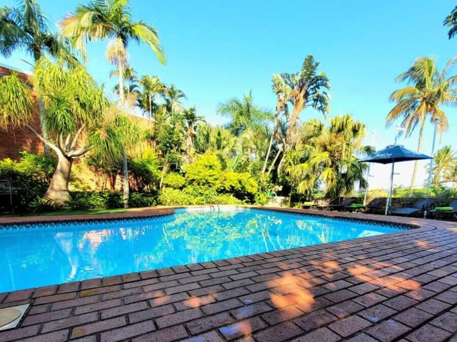 Ein Swimmingpool mit einer Ziegelterrasse, umgeben von Palmen und Grünpflanzen.