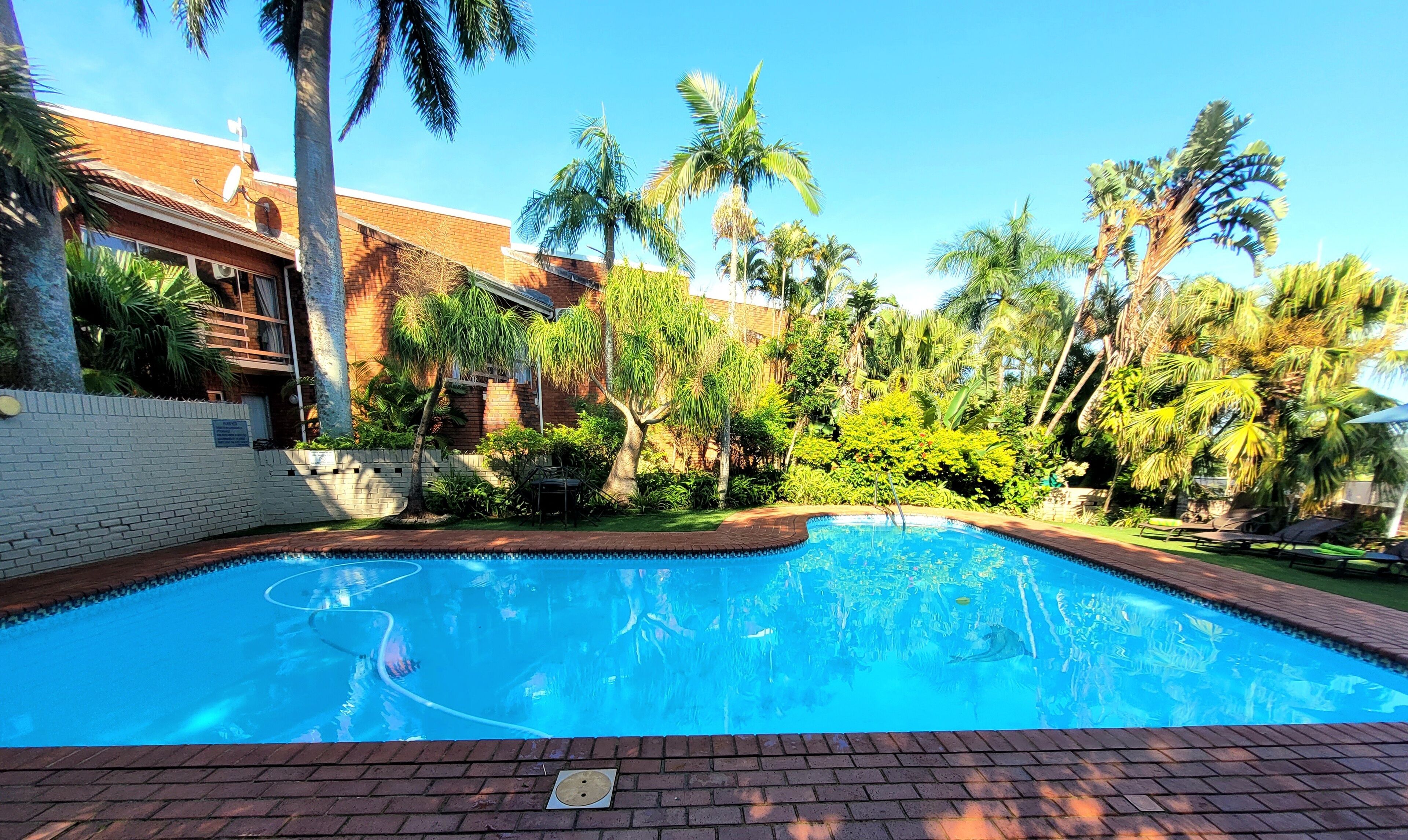 Outdoor pool, open 8:00 AM to 8:00 PM, sun loungers