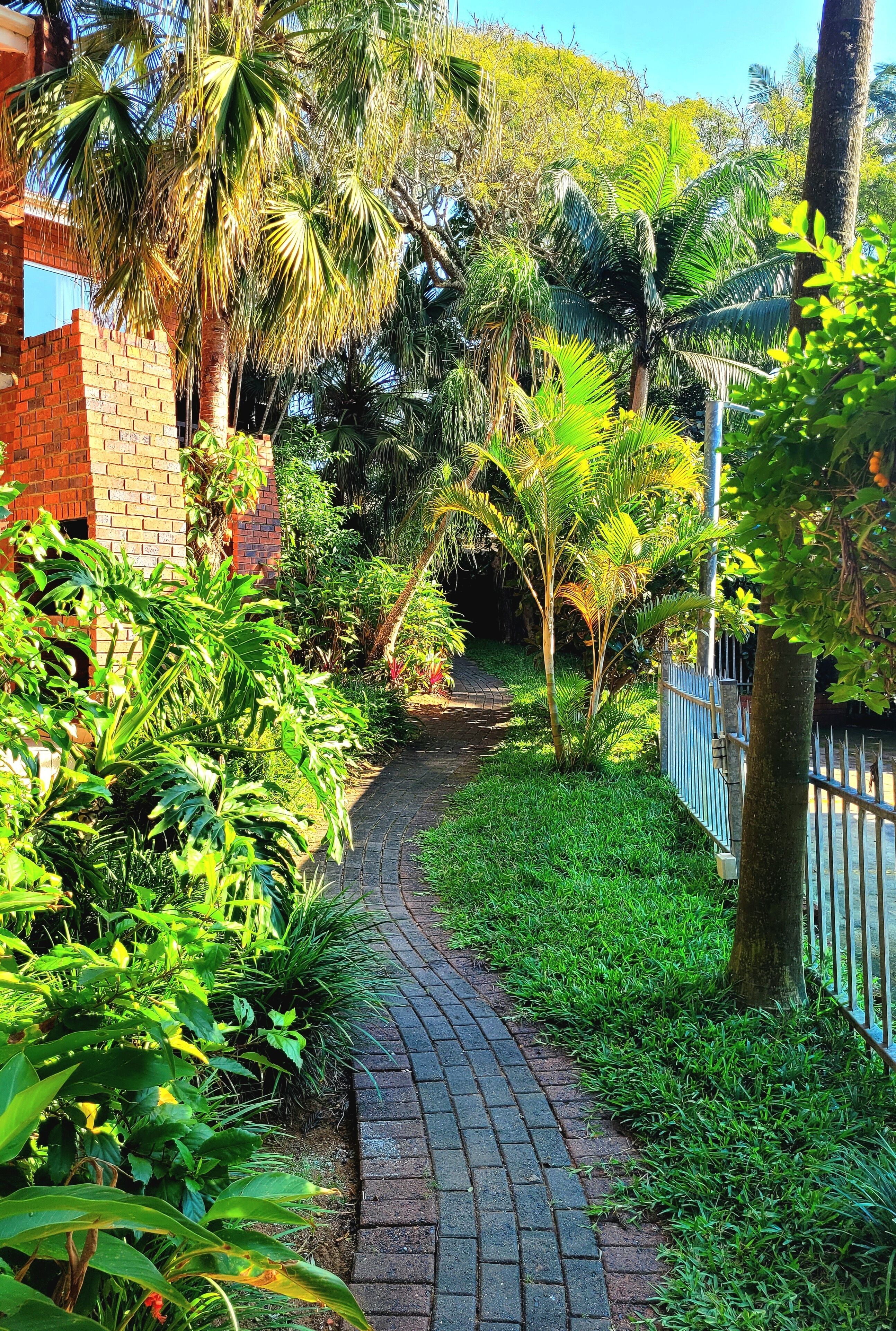 A brick pathway flanked by lush greenery and palm trees, leading to a building with a red brick wall.
