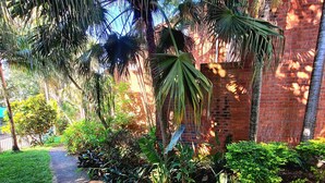 A garden pathway leading to a brick building with lush greenery and palm trees.