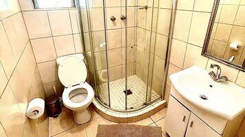 Une salle de bain avec une douche à parois de verre, des toilettes, un lavabo et un miroir.