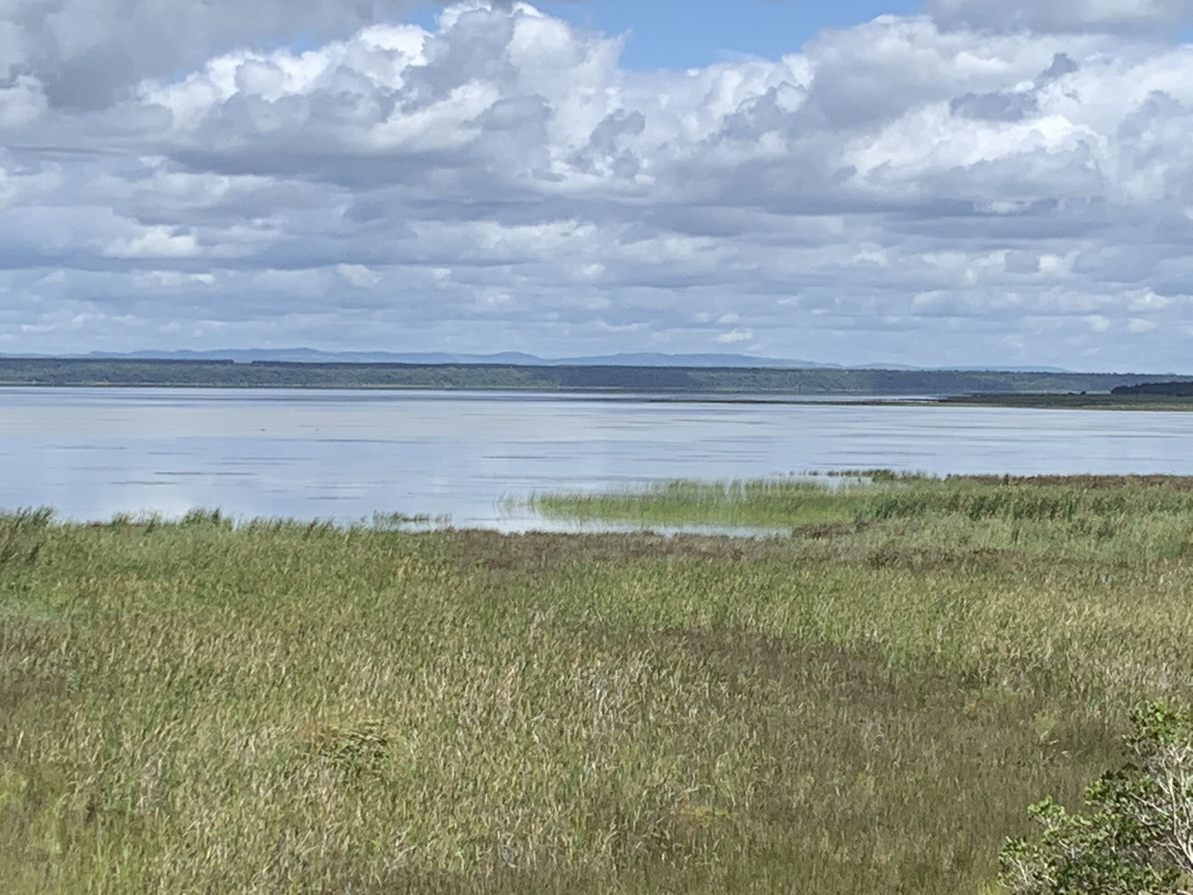 A flat landscape with a large body of water and distant mountains under a cloudy sky.