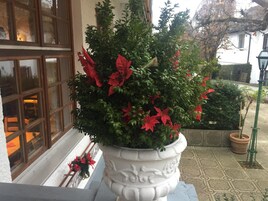 Uma planta em vaso com flores vermelhas em frente a um edifício com grandes janelas.