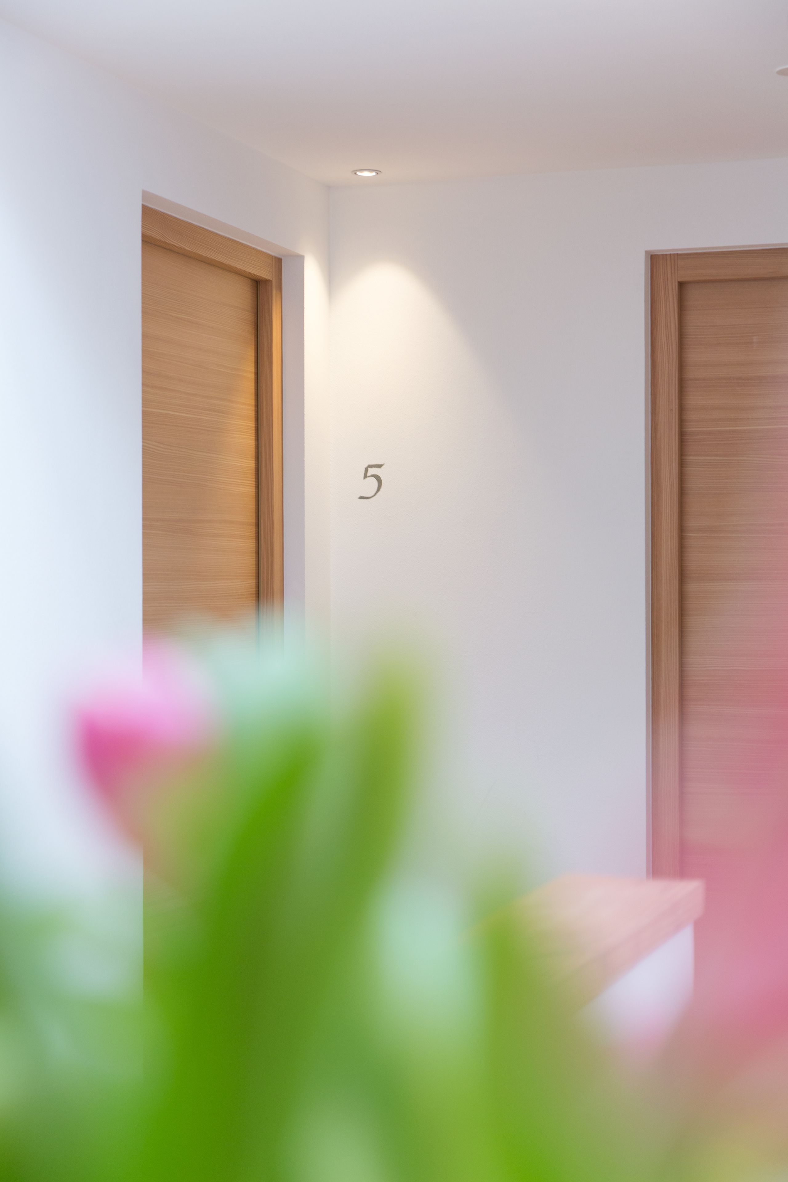 Un corridoio con due porte in legno, una delle quali porta il numero 5, e uno sfondo sfocato.