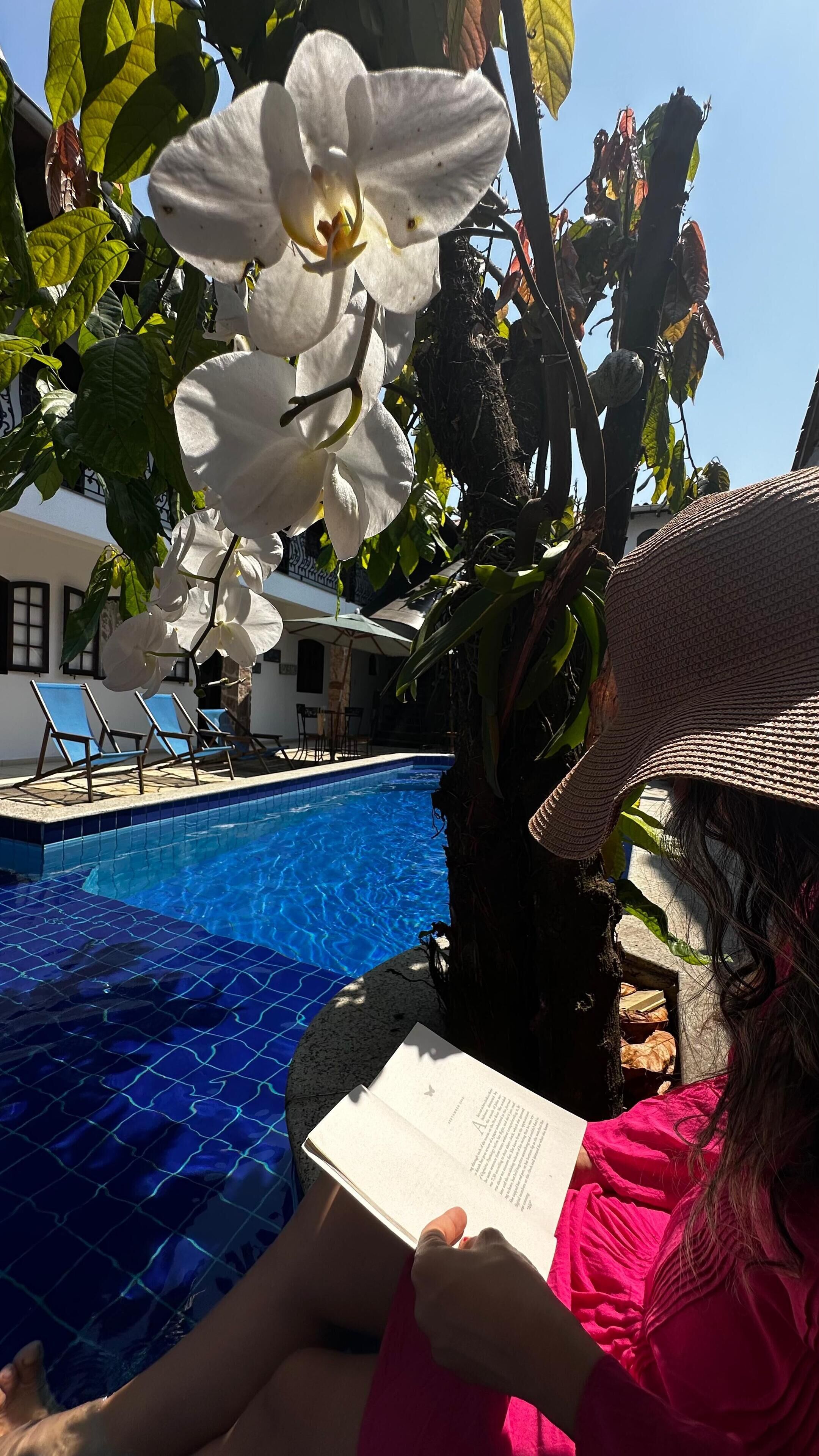 A person reading a book by a pool with white orchids and a clear blue sky.