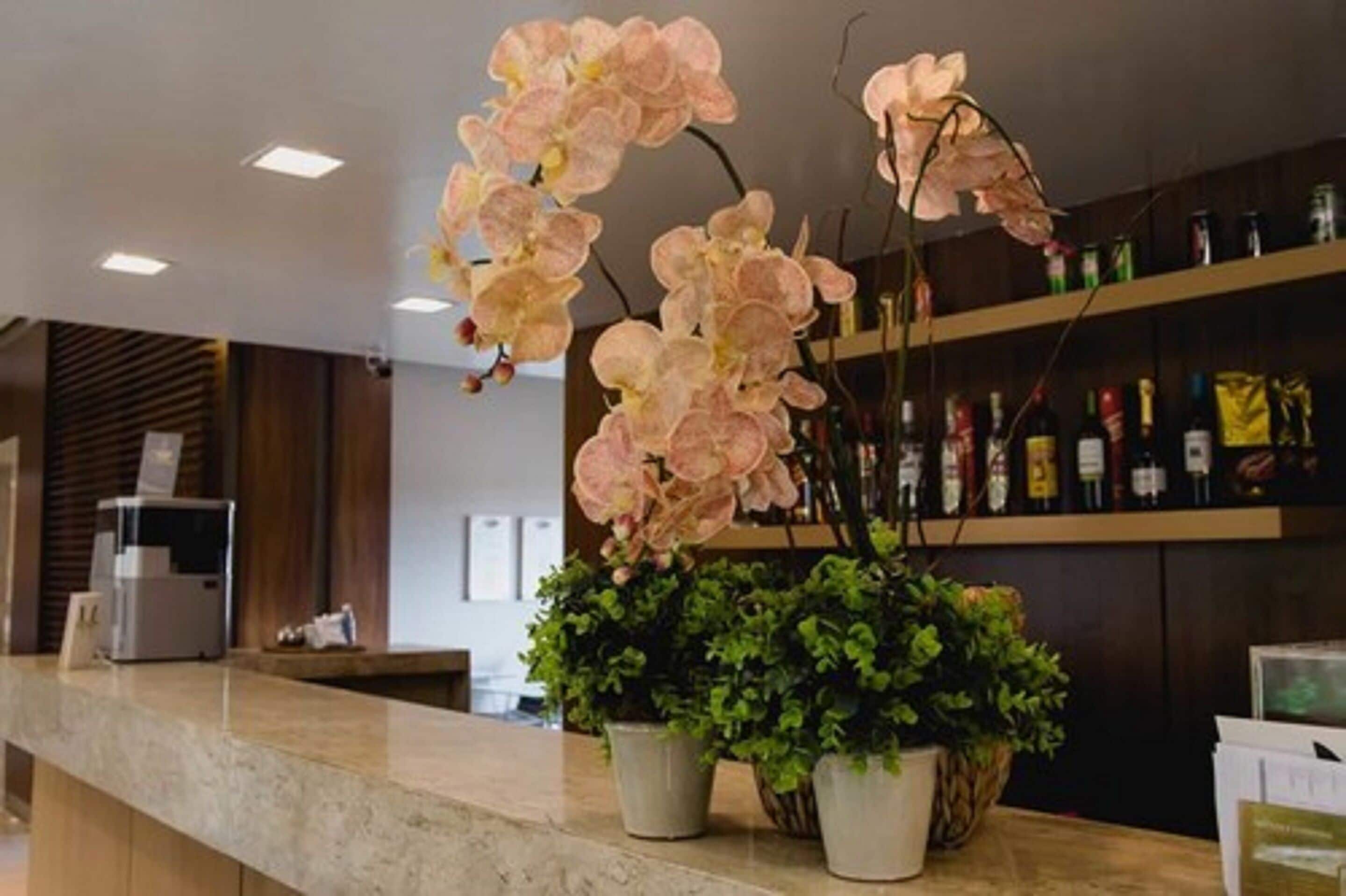 A reception area with a marble counter, potted plants, and a shelf with various items.