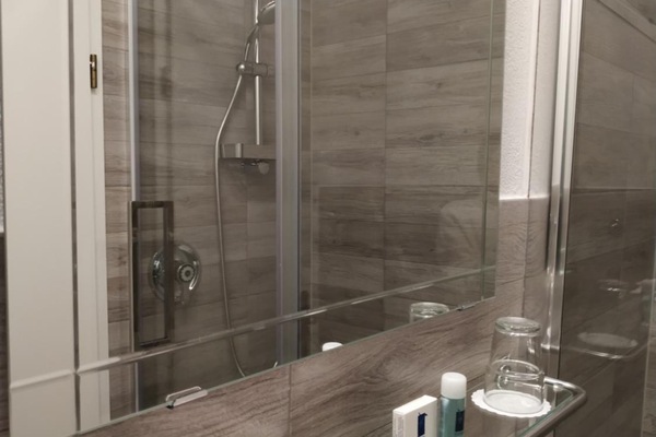 Shower, free toiletries, hair dryer, towels