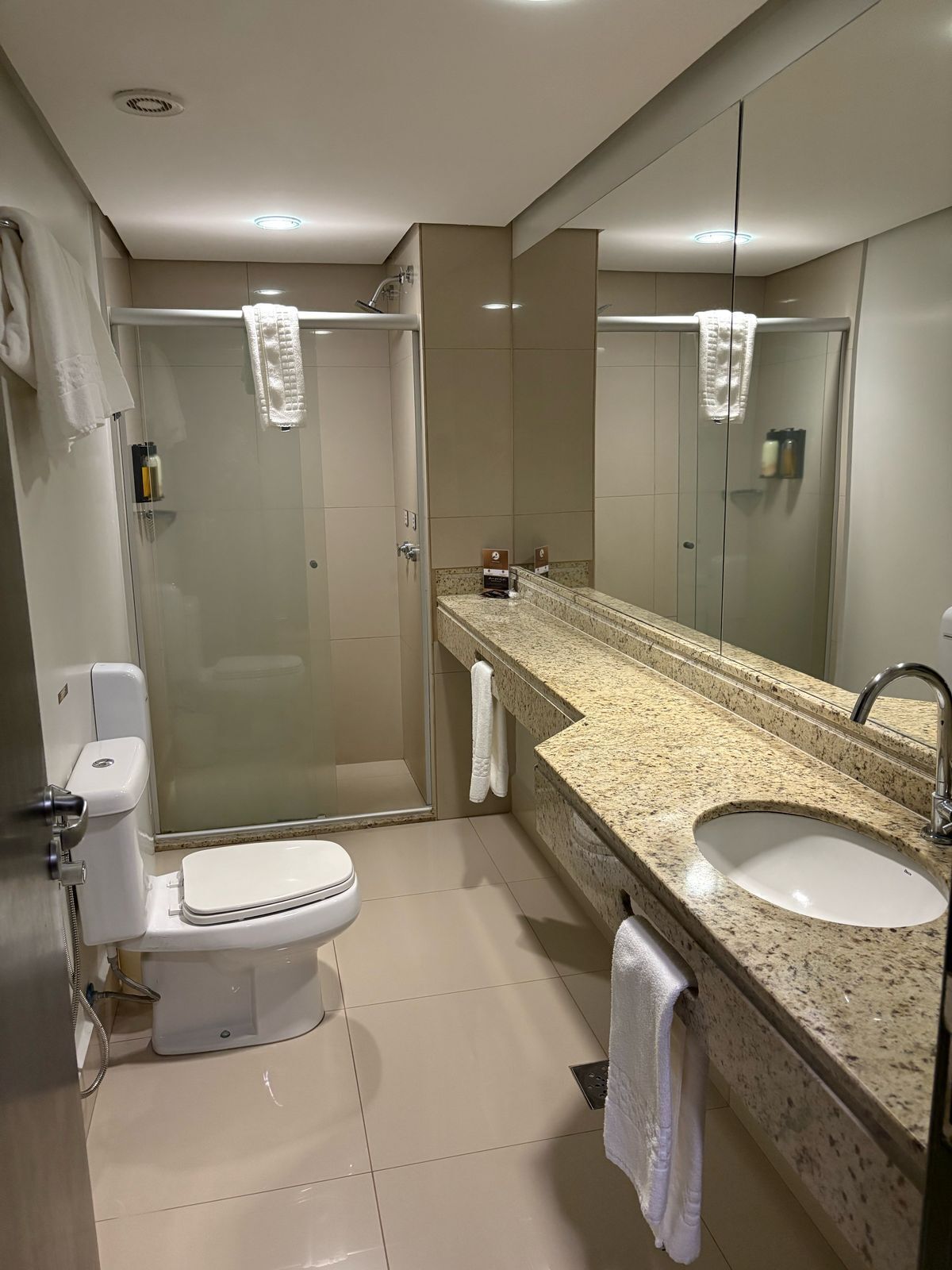 deluxe room, 1 double bed, air conditioning | bathroom | shower, free toiletries, towels