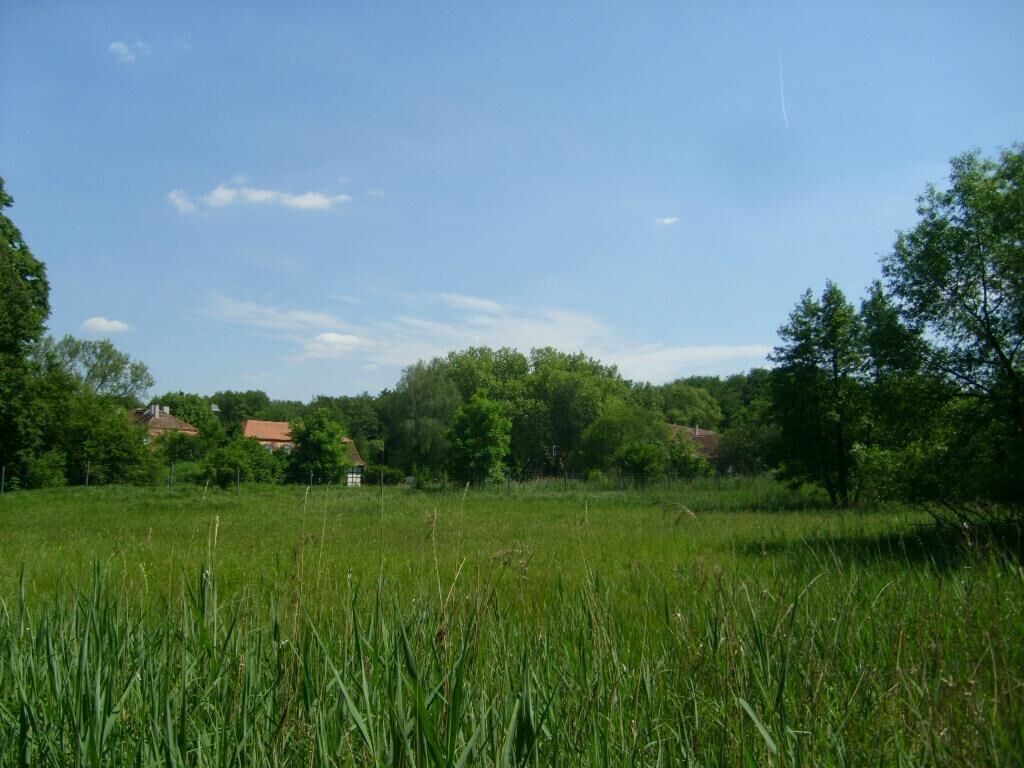 A grassy field with trees and houses in the background.