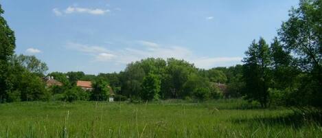 A grassy field with trees and houses in the background.
