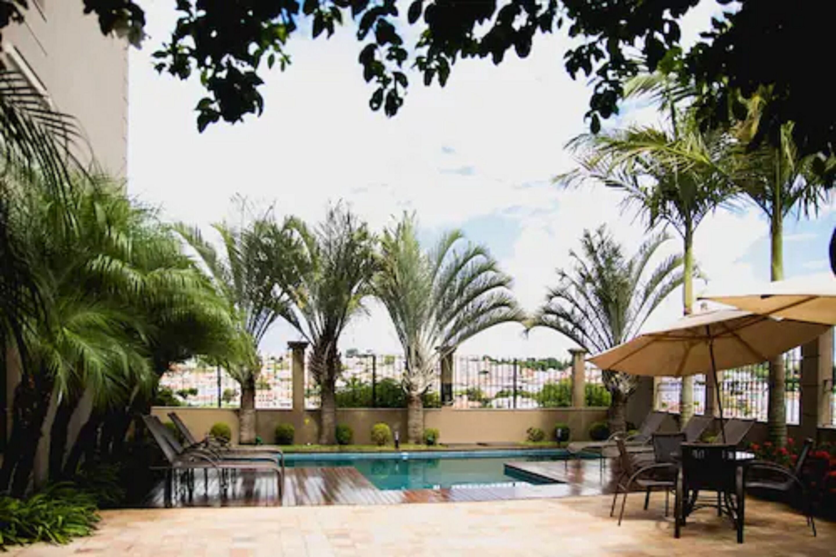 A pool area with lounge chairs and umbrellas, surrounded by palm trees and a view of buildings.