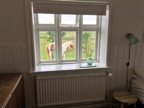 Ett rum med ett fönster som vetter ut mot en gräsklädd åker och en häst.