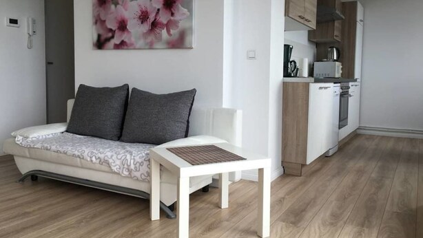 Ein stilvolles Wohnzimmer mit einer Couch, einem kleinen Tisch und einer Küchenzeile mit Holzausstattung und Geräten.