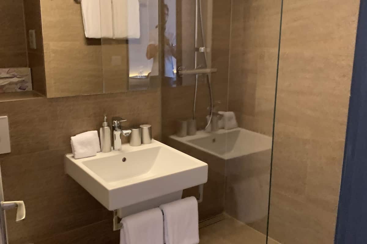 shower, free toiletries, hair dryer, towels