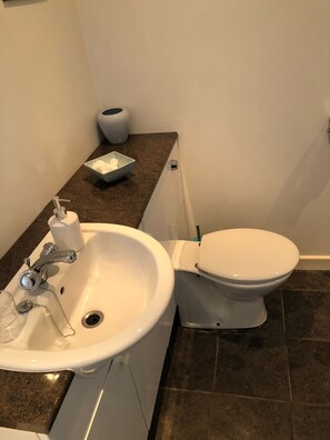 Bathroom - The Boat House Bed and Breakfast (Carmarthen)
