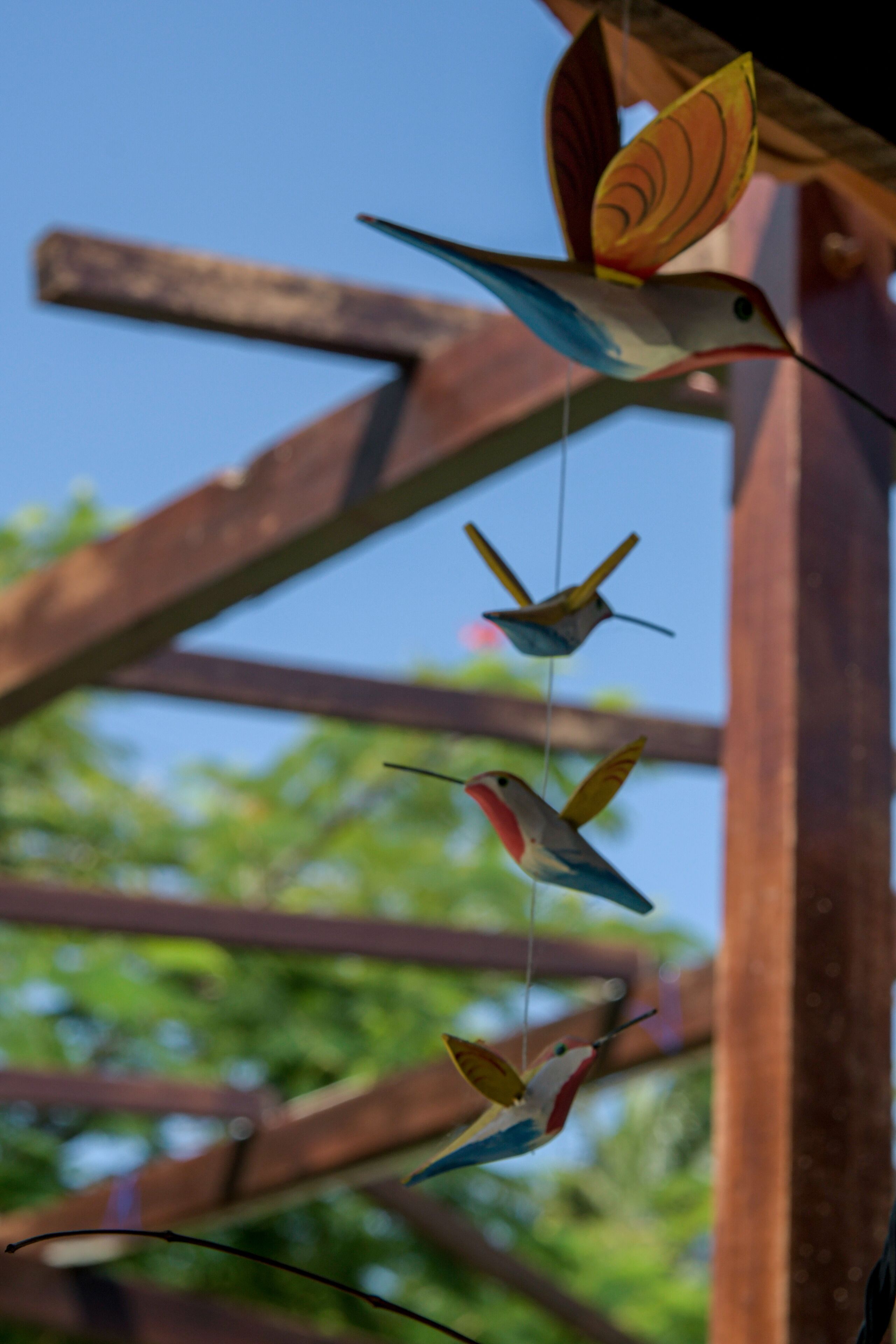 Foto - Pousada São Jorge