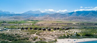 Family club Royal appricot