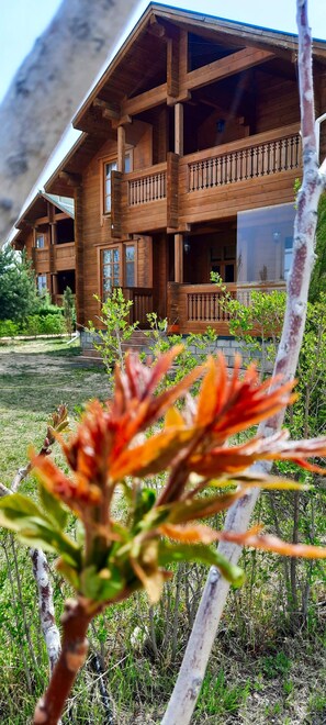 Front of property - Family club Royal appricot (Tamga)