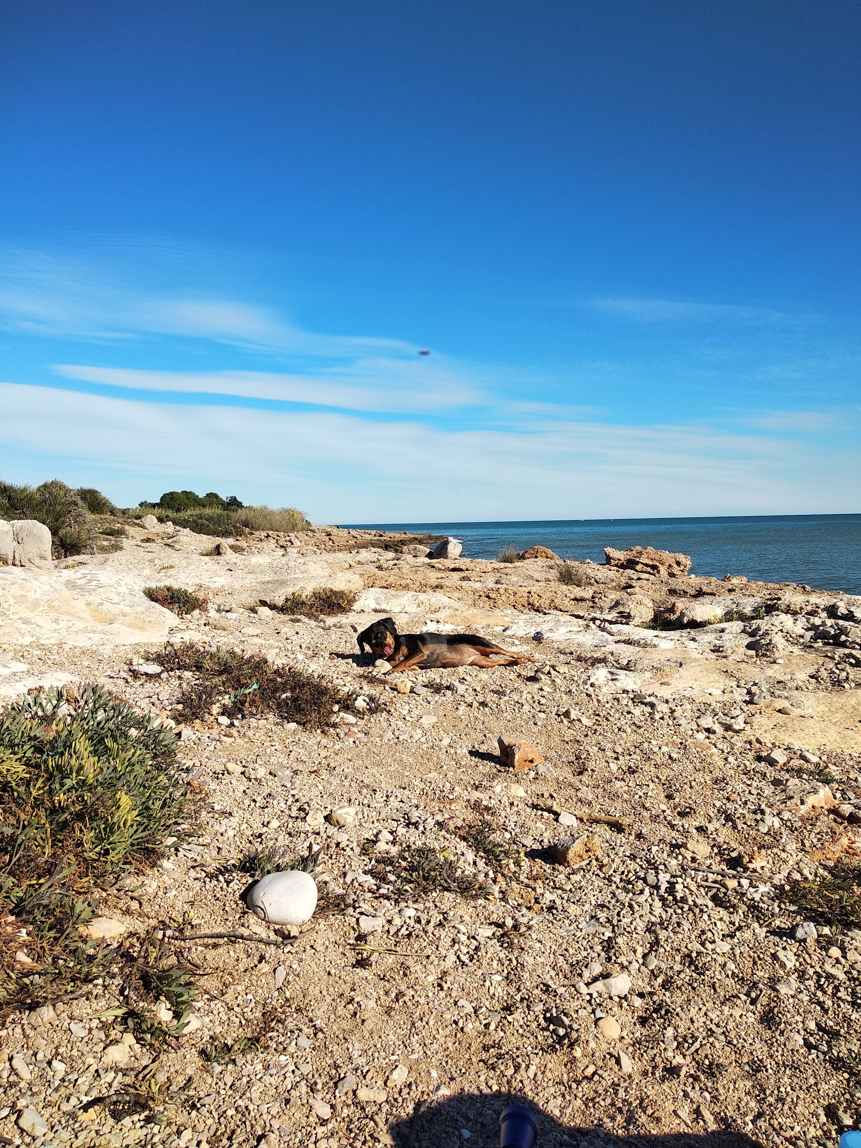 Foto - Dios Esta Bien