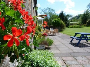 Habitació quàdruple | Terrassa o pati