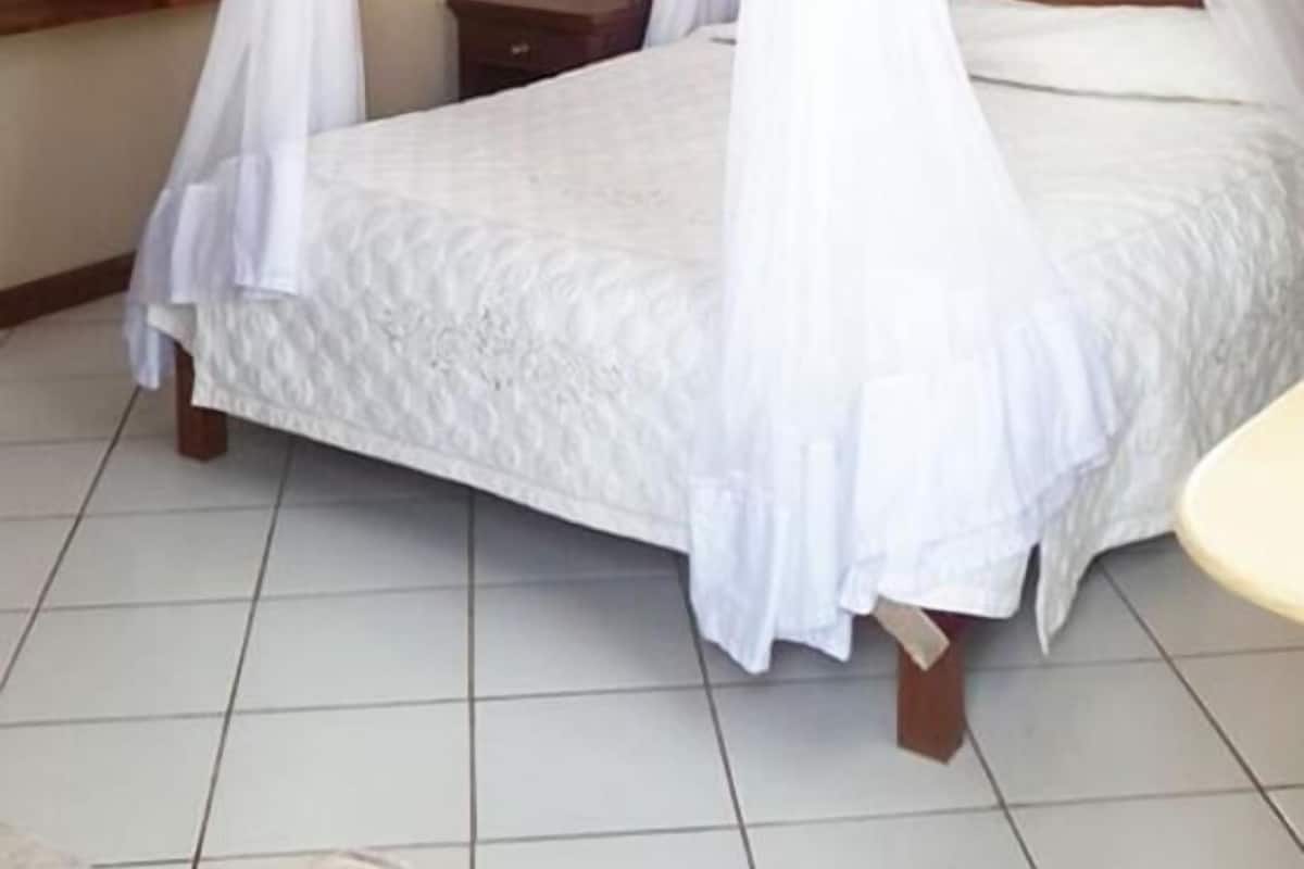 Premium bedding, desk, free WiFi, bed sheets