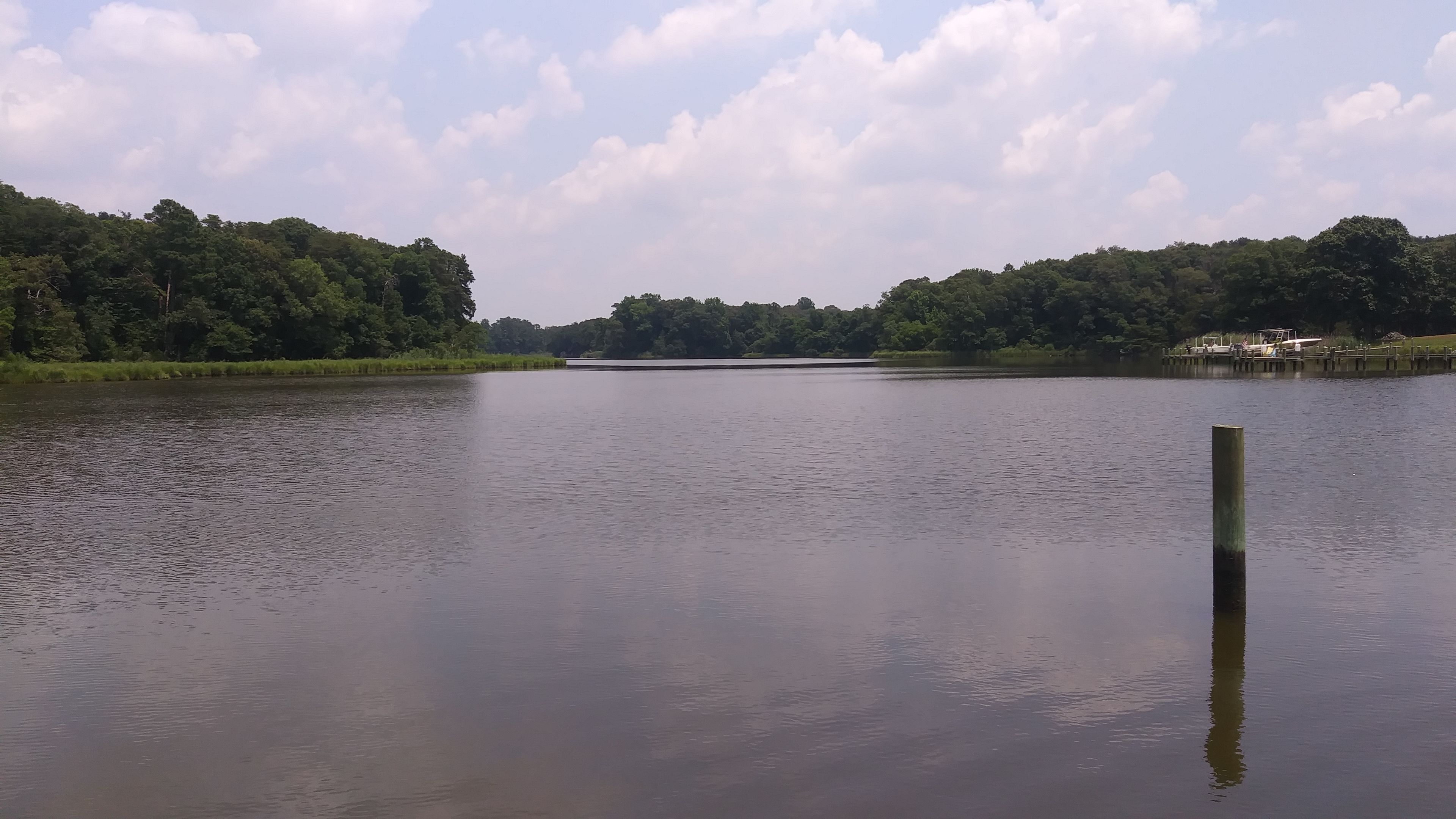 Un lago tranquilo con un poste de madera en primer plano y un bosque denso en la orilla opuesta.