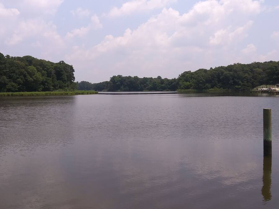 A calm lake with a wooden post in the foreground and dense forest on the opposite shore.