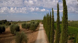 วิวจากห้องพัก