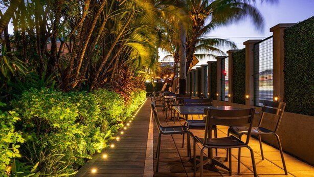 Une terrasse extérieure avec des tables et des chaises, entourée d’une végétation luxuriante et de palmiers.