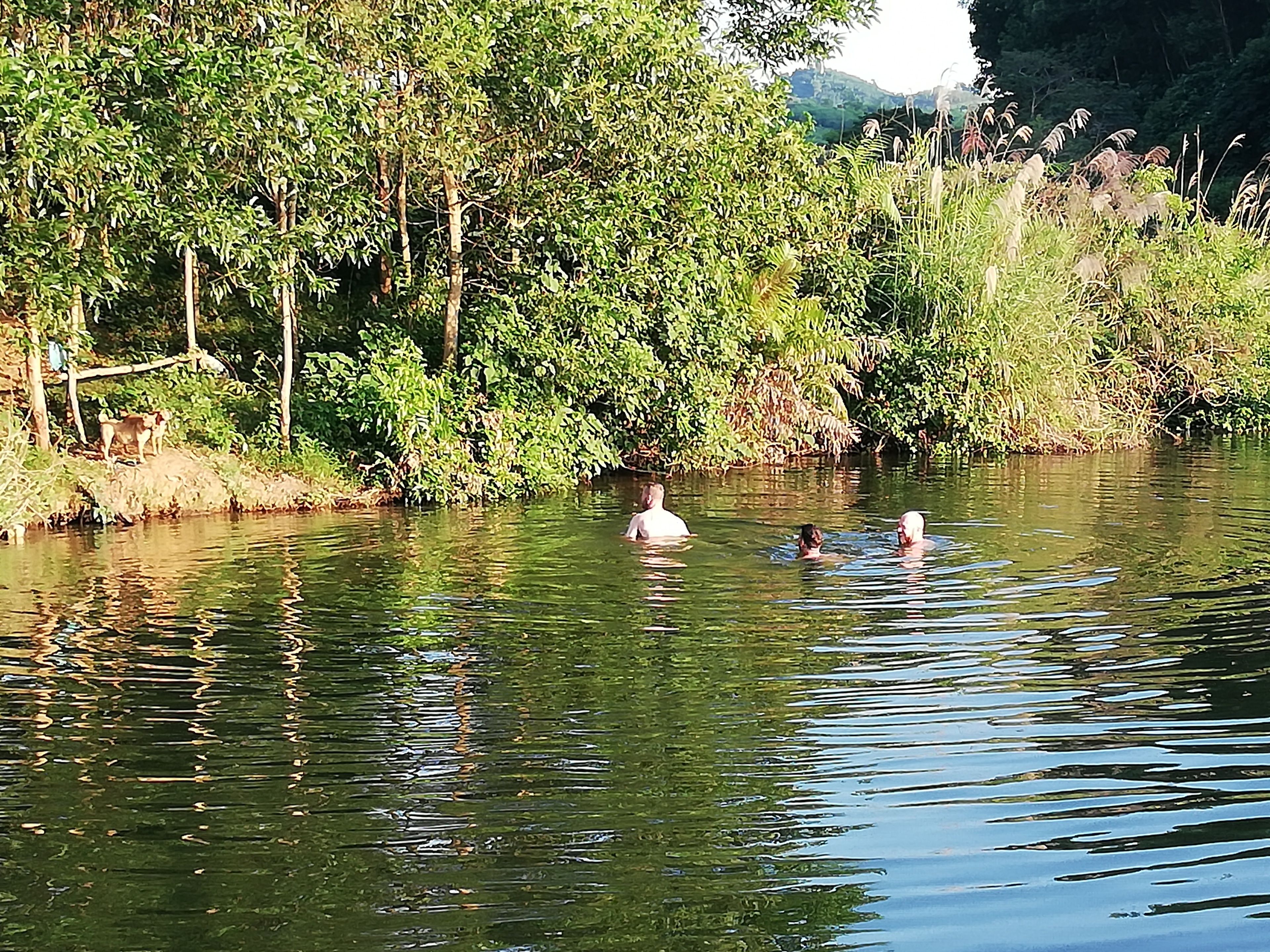 A calm river with people swimming and a dog on the bank.
