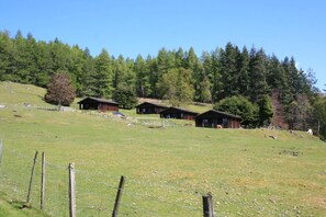 Terrain de l’hébergement 