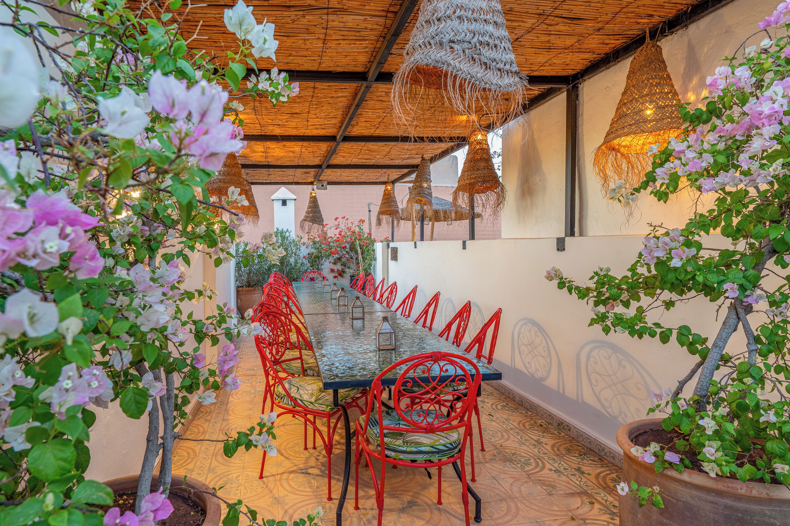 Uma longa mesa de jantar com cadeiras vermelhas, rodeada por plantas em vasos e luminárias pendentes.