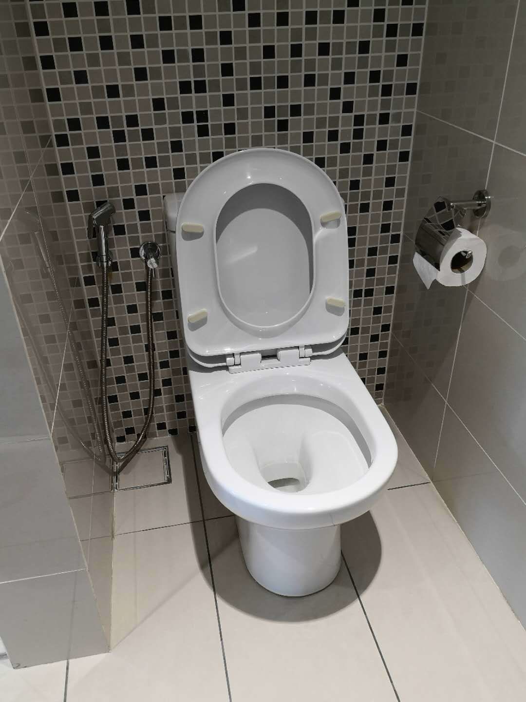 business twin room, 2 single beds, pool access, city view | bathroom | shower, rainfall showerhead, hair dryer, bidet