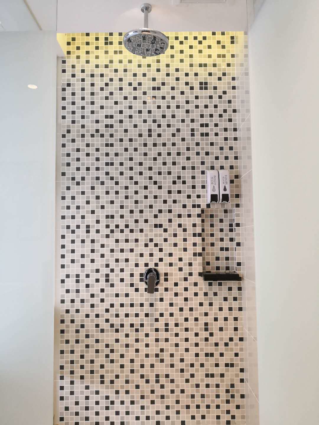 business twin room, 2 single beds, pool access, city view | bathroom shower