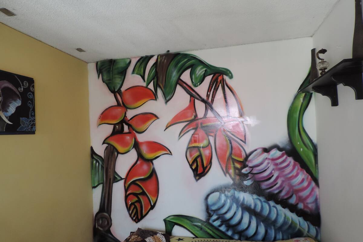 Individually decorated, individually furnished, blackout curtains