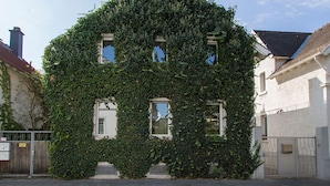 A house covered in ivy with three visible windows and a gated entrance. - Gruppenhaus Darmstadt (Darmstadt)