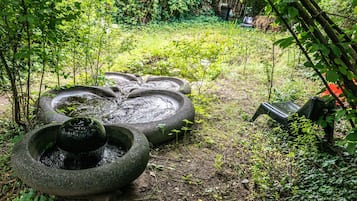 Tuin