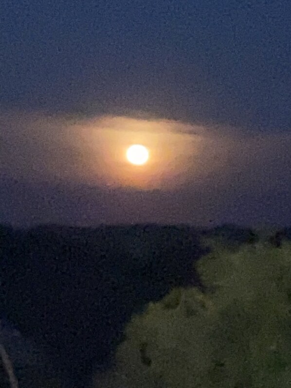 A night scene with a bright moon partially obscured by clouds.