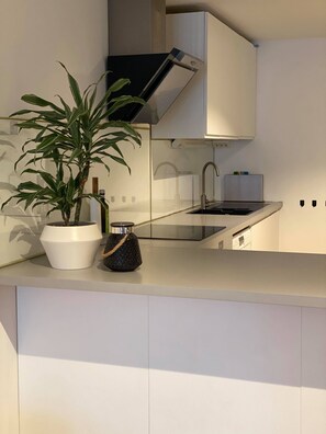 Apartament de disseny, diversos llits, no fumadors | Cuina privada | Frigorífic gran, microones, forn i placa de cuina 