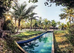 Piscine extérieure, chaises longues