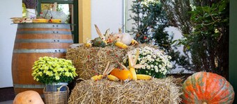 Hubertus Hof Landhotel