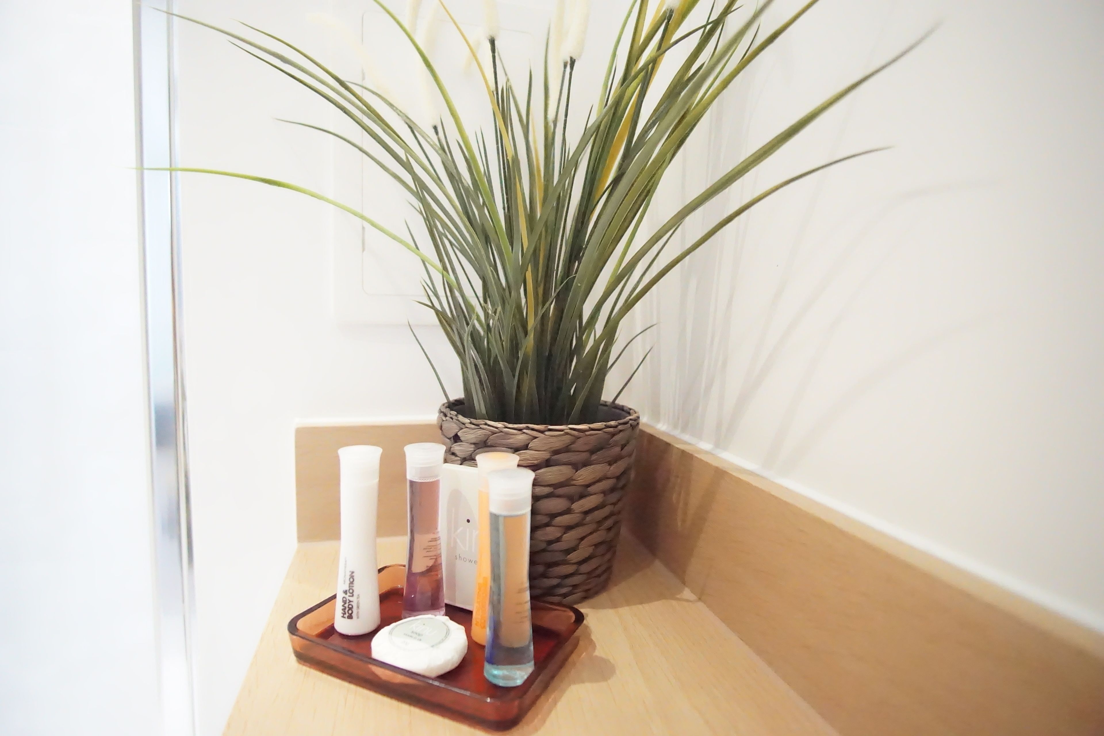 premium apartment, 2 bedrooms, city view | bathroom | combined shower/bathtub, free toiletries, hair dryer, towels