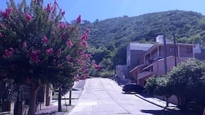 Une rue tranquille bordée d’arbres aux fleurs roses, avec une voiture garée et des immeubles d’habitation.