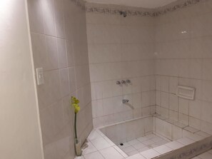 Tradisjonelt hus, 2 soverom, ikke-røyk | Dusj på badet